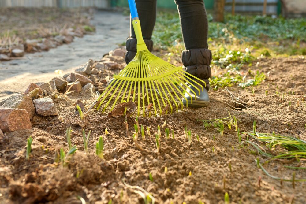 Spring seasonal gardening, rake cleaning backyard close-up